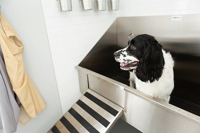 Stainless steel dog grooming sinks.